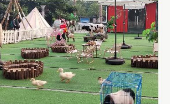 小動物接觸區示意 Small animal encounter area